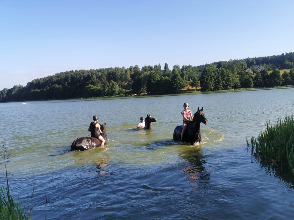 Pławienie koni